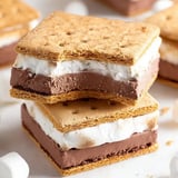 A chilled delight of frozen s'mores.